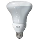 Globe 15-Watt R30 Indoor/Outdoor Compact Fluorescent Flood Reflector Bulb #0737101