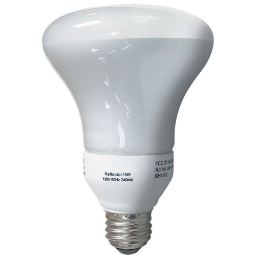 Tools: Globe 15 Watt R30 Indoor/Outdoor Compact Fluorescent Flood Reflector Bulb #0737101