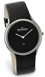 Skagen Womens Watch #256SSLB