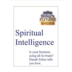 Spiritual Intelligence -- Use All Your Business Brain: Danah Zohar And The Intelligence Of Meaning