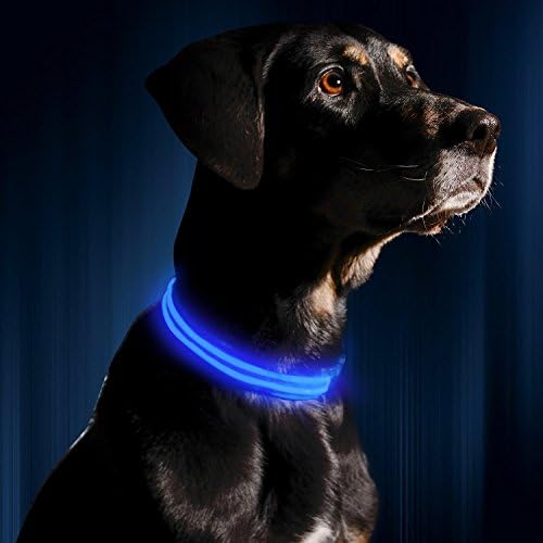 BYouker Nylon Pet LED Dog Collar Night Safety LED Flashing Glow LED Pet Supplies Dog Cat Collar Small Designer Products for Dogs Collars (Blue, S)