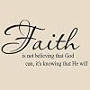 Faith is not believing that God can it's knowing that he will Vinyl Lettering Wall Sayings Home Art Decor