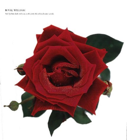 Roses for the Smaller Garden
