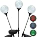 Garden Globes 3-Piece Solar LED Stake Light Set (Clear/Black) (30" Tall)