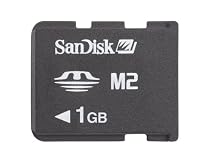 Sandisk Memory Stick Micro (M2) 1GB SDMSM2-1024-A10AM (Retail Package)