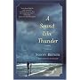 A Sound Like Thunder: A Novel