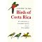 A naturalist in Costa Rica