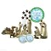 Willow Tree 14 Piece Starter Nativity Set By Susan Lordi with Go Green! Compressed Bamboo Towels