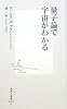 量子論で宇宙がわかる (集英社新書)