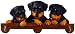   - Rottweiler Calendar Caddy 2008