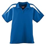 Ladies Wicking Sport Shirt