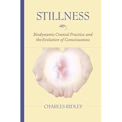 Stillness: Biodynamic Cranial Practice and the Evolution of Consciousness