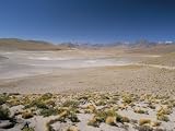 Altiplano and High-Level Volcanoes, El Tatio Basin, Above Calama, Atacama Desert, Chile Photographic Poster Print by Tony Waltham, 18x24