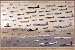 Poster, American Aviation - Early Years (1903-1945), Final Size: 36 in X 24 in.