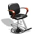 Spa Equipment Salon Furniture Styling Chair pL409 on Sale