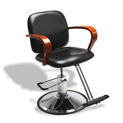Spa Equipment Salon Furniture Styling Chair pL409 on Sale