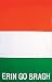 Irish Outdoor Appliqued Flag 28 X 48