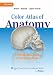 Color Atlas of Anatomy: A Photographic Study of the Human Body, North American Edition (Point (Lippincott Williams & Wilkins))