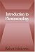Introduction to Phenomenology