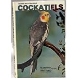 Taming and Training Cockatiels