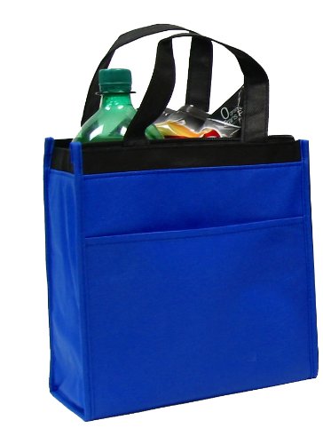 Insulated zippered Hot & Cold Cooler Tote - Medium, Royal