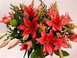 Lady in Red - Fresh Flowers