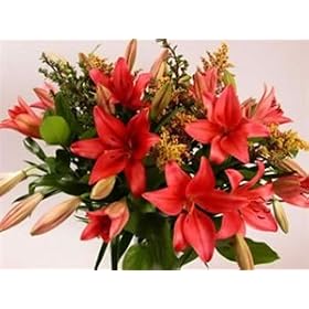 Lady in Red - Fresh Flowers