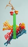 Large Toothbrush