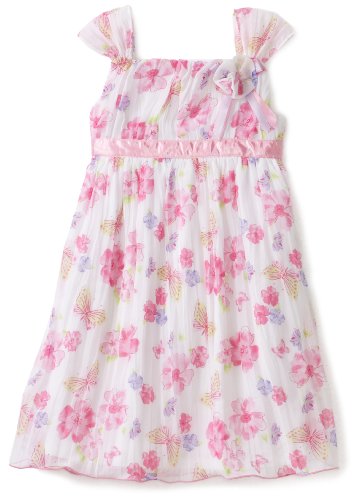Youngland Girls 2-6X Butterfly With Flower Chiffon 