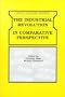 The Industrial Revolution in Comparative Perspective (Open Forum Series)