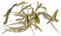 Chunshan Silver Needle White Tea, 4oz.