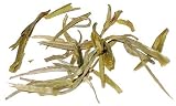 Chunshan Silver Needle White Tea, 4oz.