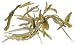 Chunshan Silver Needle White Tea, 4oz.