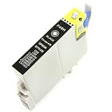 Remanufactured Black Ink Cartridge for Epson T060120