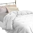 White Down Alternative Comforter - Full/Queen