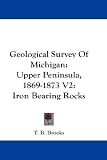 Geological Survey Of Michigan: Upper Peninsula, 1869-1873 V2:...