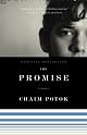 The Promise