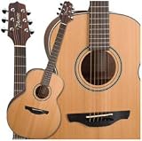 Takamine GS430S NEX Solid Cedar Top Acoustic Guitar