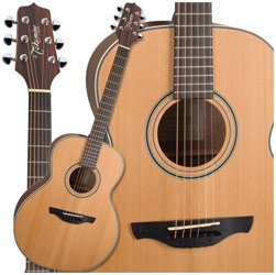 Childrens Toyshop  Musical Instruments : Takamine GS430S G NEX Acoustic Guitar, Satin Cedar
