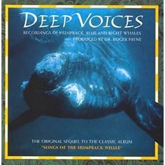 Deep Voices