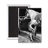 Woman changing a horses shoe while working.. - 3x2 inch Fridge Magnet - large magnetic button - Magnet