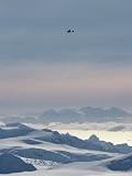 A Twin Otter Flies over Calley Glacier on the Antarctic Peninsula National Geographic Collection Photographic Poster Print by Gordon Wiltsie, 18x24