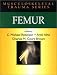 Books : Femur (Musculoskeletal Trauma Series)