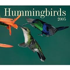 Hummingbirds 2005
