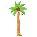 Palm Tree Bulletin Board Set