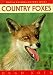 Country Foxes (British Natural History)