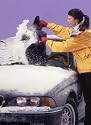 Ice-Away Windshield Cover and Scraper Mitt