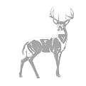 Deer Sudden Shadow Wall Appliqué
