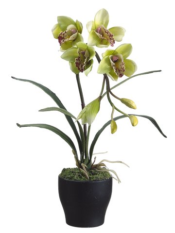 Pack of 6 Green Cymbidium Orchid Silk Potted Plants 22.5