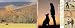 The Sport of Schutzhund